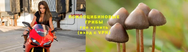 a pvp Алексеевка