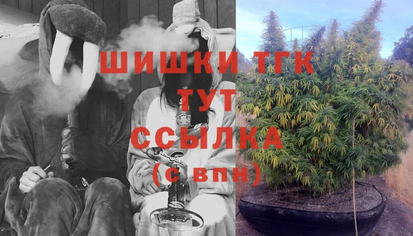 дмт Алзамай